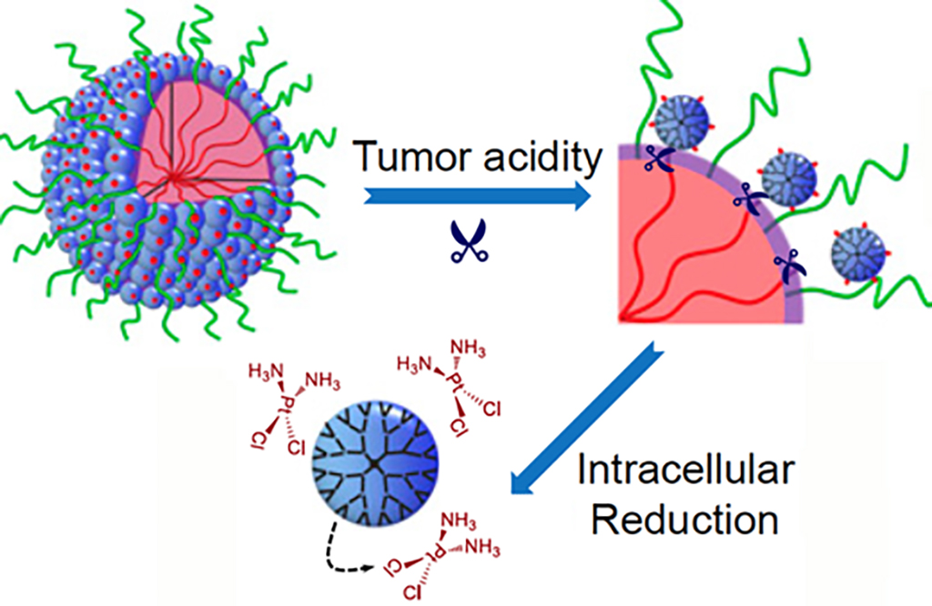 nanoparticle targeting in medical applications
