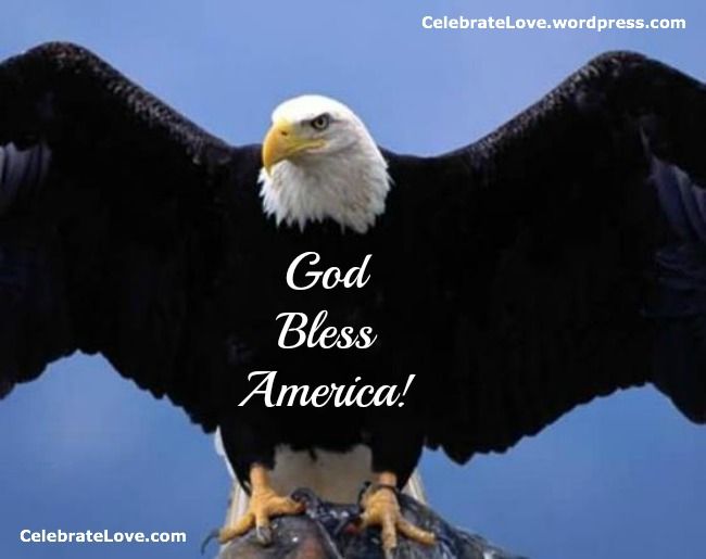 american eagle cross county application