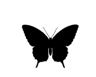 applique butterfly quilt digital download