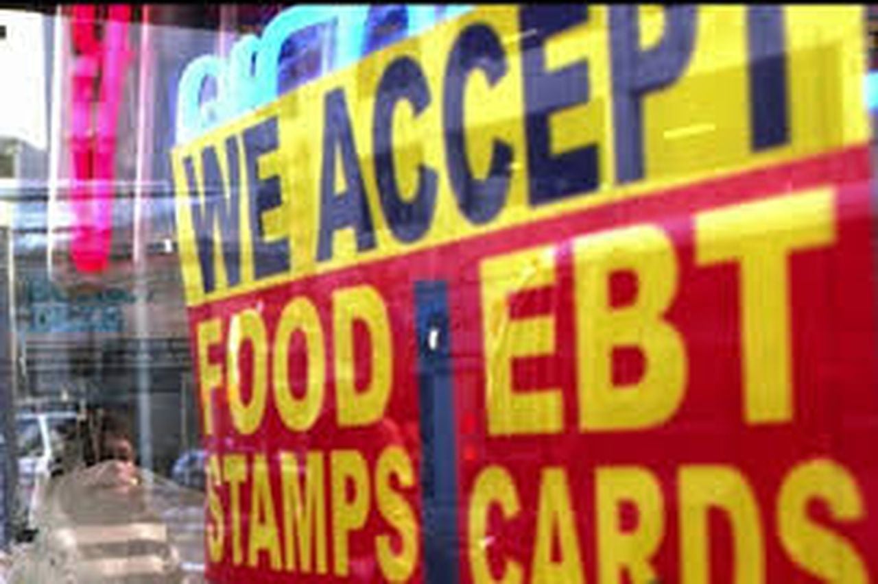 snap food stamps application status